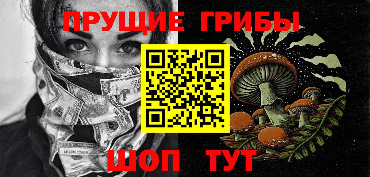 Галлюциногенные грибы прущие грибы Соль-Илецк