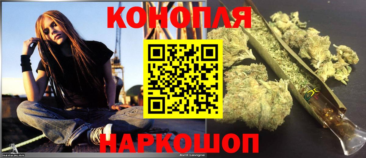 Марихуана план  Каннабис тримм  Конопля ГИДРОПОН  Соль-Илецк  Вход с VPN 